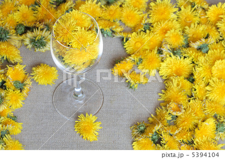 Dandelion's Wine Dandelion's Wine 5394104