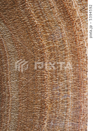 Natural stone texture 5394592
