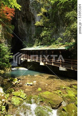 秋芳洞 入口 秋芳洞 入口 5395364