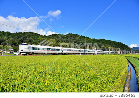 鉄道 山陰本線 京都口 千代川~八木 夏空 稲穂 特急 287系7両 鉄道 山陰本線 京都口 千代川~八木 夏空 稲穂 特急 287系7両 5395465