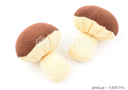 椎茸 5395741