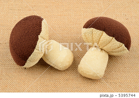 椎茸 5395744