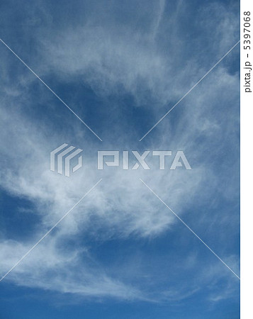 絹雲０２ 5397068