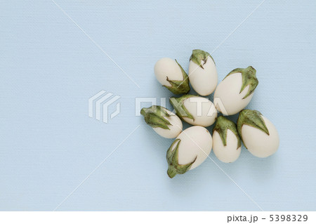 たまごナス たまごナス 5398329