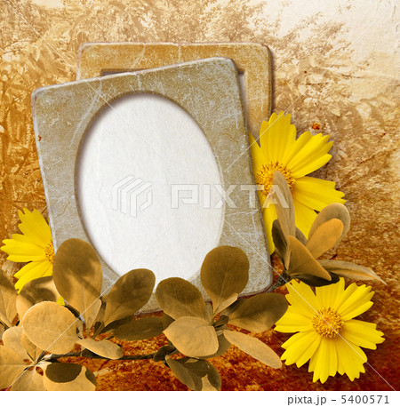 Grunge frame with daisy against park Grunge frame with daisy against park 5400571