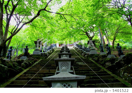 大山寺 大山寺 5401522