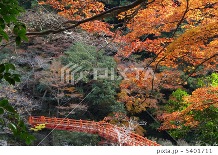 奇絶峡 奇絶峡 5401711