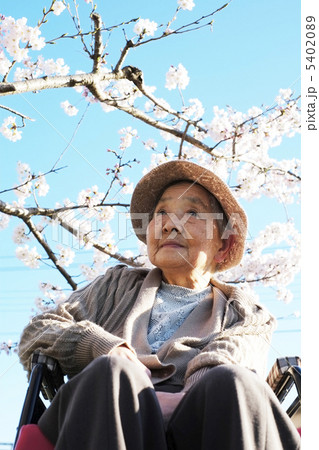 お婆ちゃんと桜 5402089