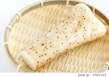 ヤマトイモ ヤマトイモ 5402104