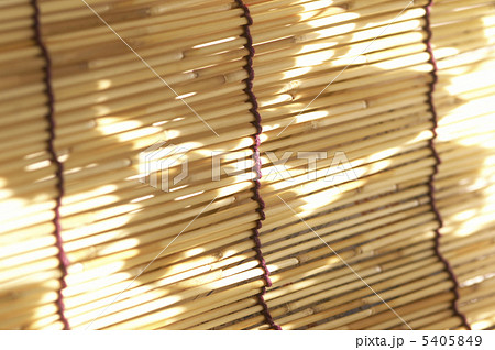 アサガオ 5405849