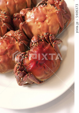 上海がに 5406373