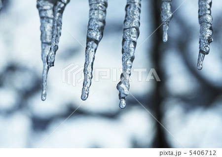 つらら つらら 5406712