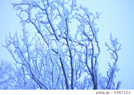 雪景色 雪景色 5407122