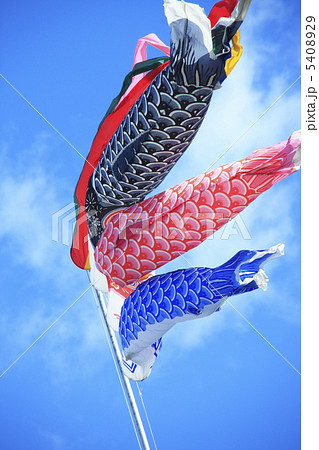 鯉のぼり 5408929