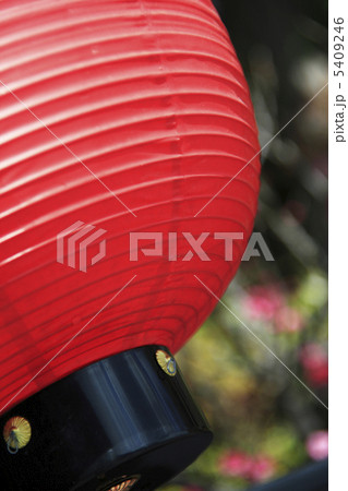 ちょうちん 5409246
