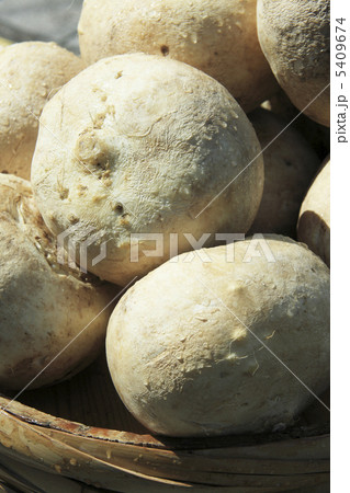 カブラの漬け物 5409674