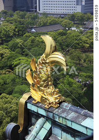 大阪城の鯱 5409859