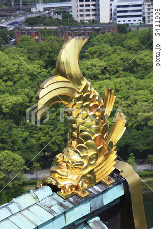 大阪城の鯱 5411903