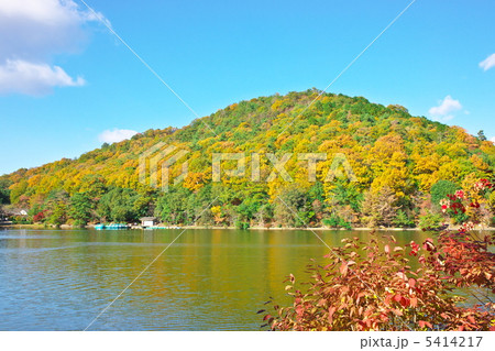 宝が池の秋 宝が池の秋 5414217