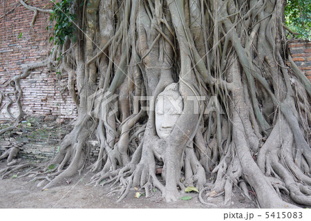 アユタヤ遺跡 5415083