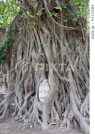 アユタヤ遺跡 アユタヤ遺跡 5415084