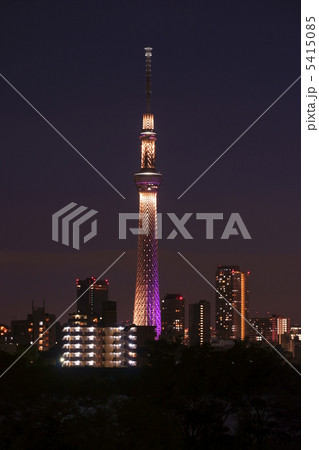 夕暮れの東京スカイツリー（雅・ライトアップ） 5415085