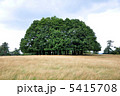 草原と木 5415708