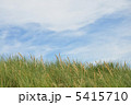 草原と空 5415710