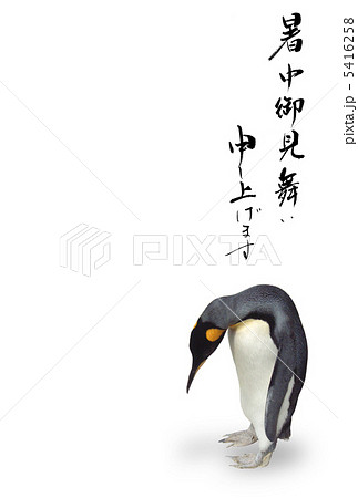 暑中お見舞い 5416258