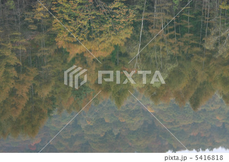 御射鹿池 御射鹿池 5416818