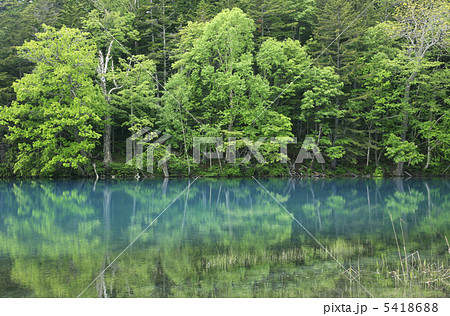 北海道、オンネトー湖の6月 北海道、オンネトー湖の6月 5418688
