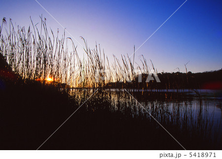 江奈湾の夜明け 5418971