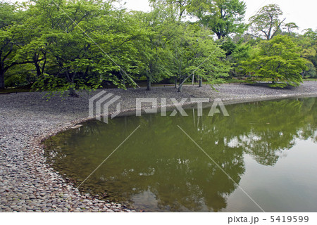 仙洞御所 醒花亭から見た洲浜と南池 仙洞御所 醒花亭から見た洲浜と南池 5419599