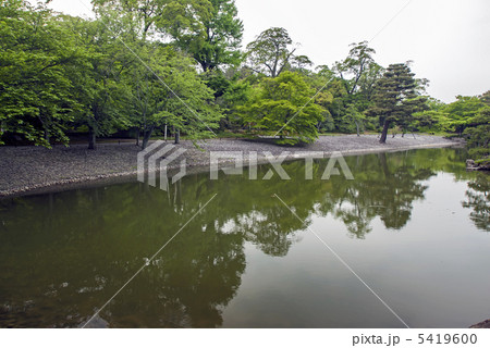 仙洞御所　醒花亭から見た洲浜と南池 5419600