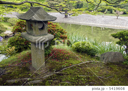 仙洞御所　南池の草屋形の燈籠 5419608