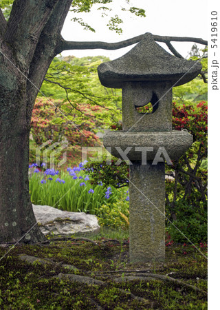 仙洞御所 南池の草屋形の燈籠 仙洞御所 南池の草屋形の燈籠 5419610