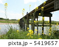 流れ橋と花 5419657