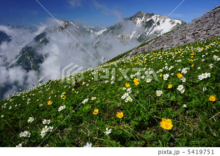 夏のアルプス 夏のアルプス 5419751