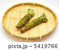 わさび 5419766