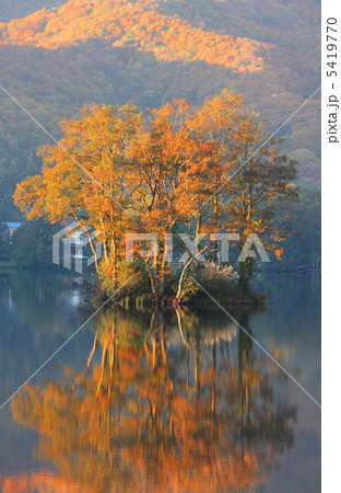 立木のある小さな島(曽原湖) 5419770