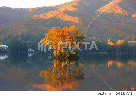 立木のある小さな島(曽原湖) 5419771