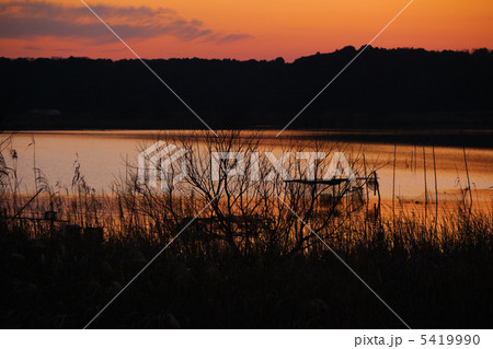 印旛沼の夕景 5419990
