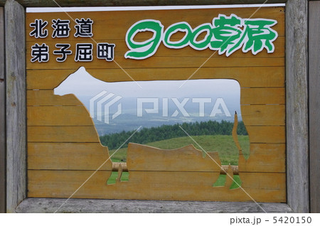 ９００草原 5420150