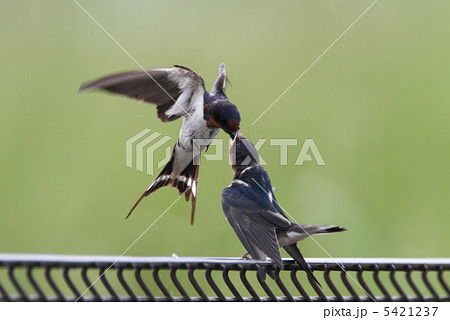 幸せな瞬間 幸せな瞬間 5421237