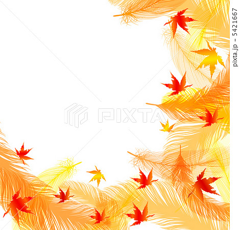 秋 紅葉 羽 羽根 背景のイラスト素材