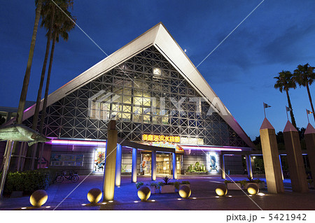 須磨海浜水族園　夜景 5421942