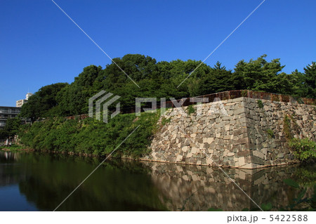 淀城・本丸石垣 5422588