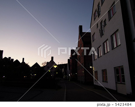 スウェーデン中央大学３ 5423484