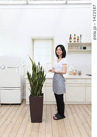 観葉植物と女性 5423587