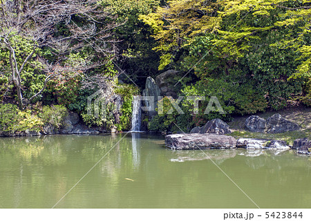 仙洞御所　南池の雄滝 5423844